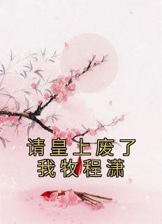 皇上请废我错为帝王妻讲的什么