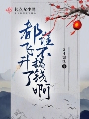 只好飞升了