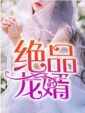 极品弃婿龙婿