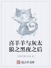 喜羊羊与灰太狼奇幻之