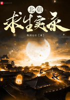 北朝求生实录TXT精校版