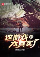 这游戏也太真实了笔趣阁无弹窗