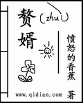 赘婿结局