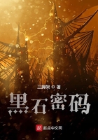 黑石密码完本TXT