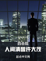 四合院人间清醒许大茂TXT