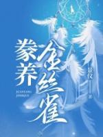 公子他追妻火葬场