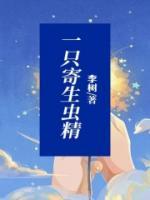 小虫简历