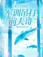 谢文文迷之家最新博客的作者是谁