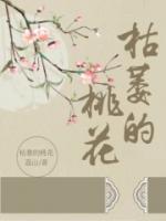 沈清韵免费阅读