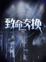 致命交换 昆明
