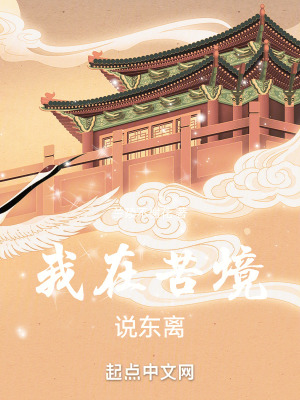 我在苦境说东离无防盗