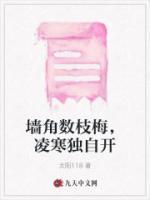 墙角数枝梅凌寒独自开的寓意