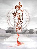 沈素心赵君衍