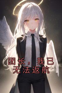 团长我已无法返航的免费阅读
