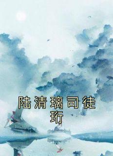 陆司城于清辞免费阅读