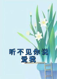 听不见你说爱我 歌词