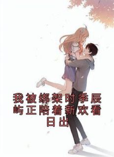江镜月季辰屿知乎