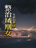 陈晓韩磊