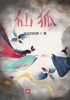 仙狐奇缘主题曲