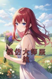 模仿大师辰航免费又名