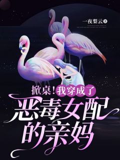 网剧我穿成了恶毒女配