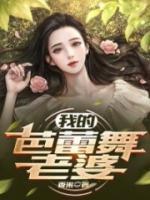 我的芭蕾舞老婆徐菲赵成
