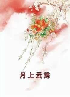 云上月abo