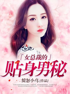 盖世龙少电视剧1一110集