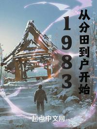 1983从分田到户开始全文阅读
