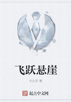 飞跃悬崖黄丽丽