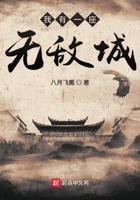 我有一座无敌城有几个女主