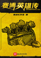 赛博英雄传评价