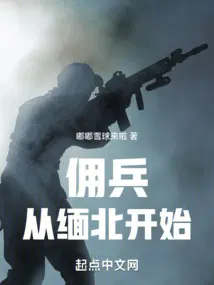 烈风天翼是什么动画片