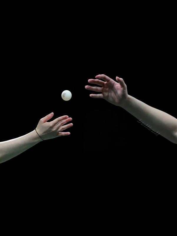 愿我如星君如月之顶峰相见全文免费