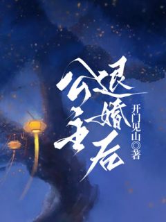 公主退婚后我化龙登帝一口气看完