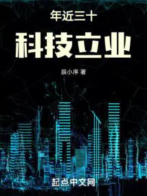 年近三十科技立业TXT