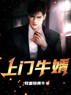 凌霄战神叶凌霄苏晚晴
