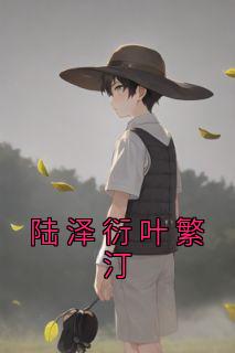 陆泽衍叶繁汀免费阅读