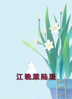 抖音江晚芙陆则