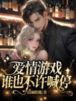 爱情游戏不会结束完整版