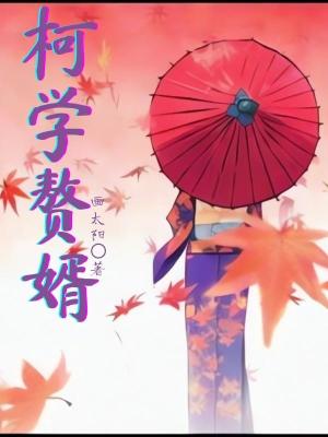 赘婿科技