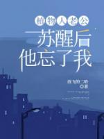 陆沉evan