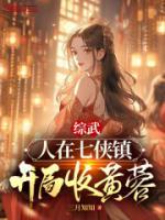 综武人在七侠镇开局收黄蓉沈练
