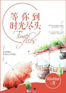 时光尽头我在等你