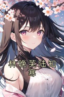 林晚晚傅寒言