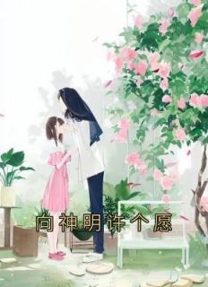 向神明许个愿txt