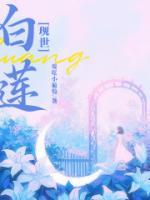 现代诗歌白莲