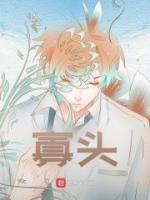 寡头政体是什么意思