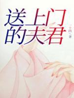 傅音顾允全文