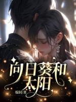 向日葵和太阳花有区别吗